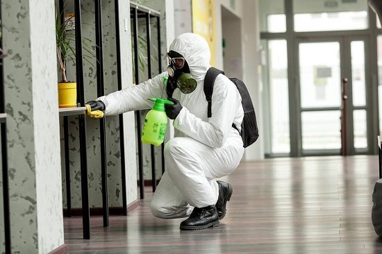 Termite control tips