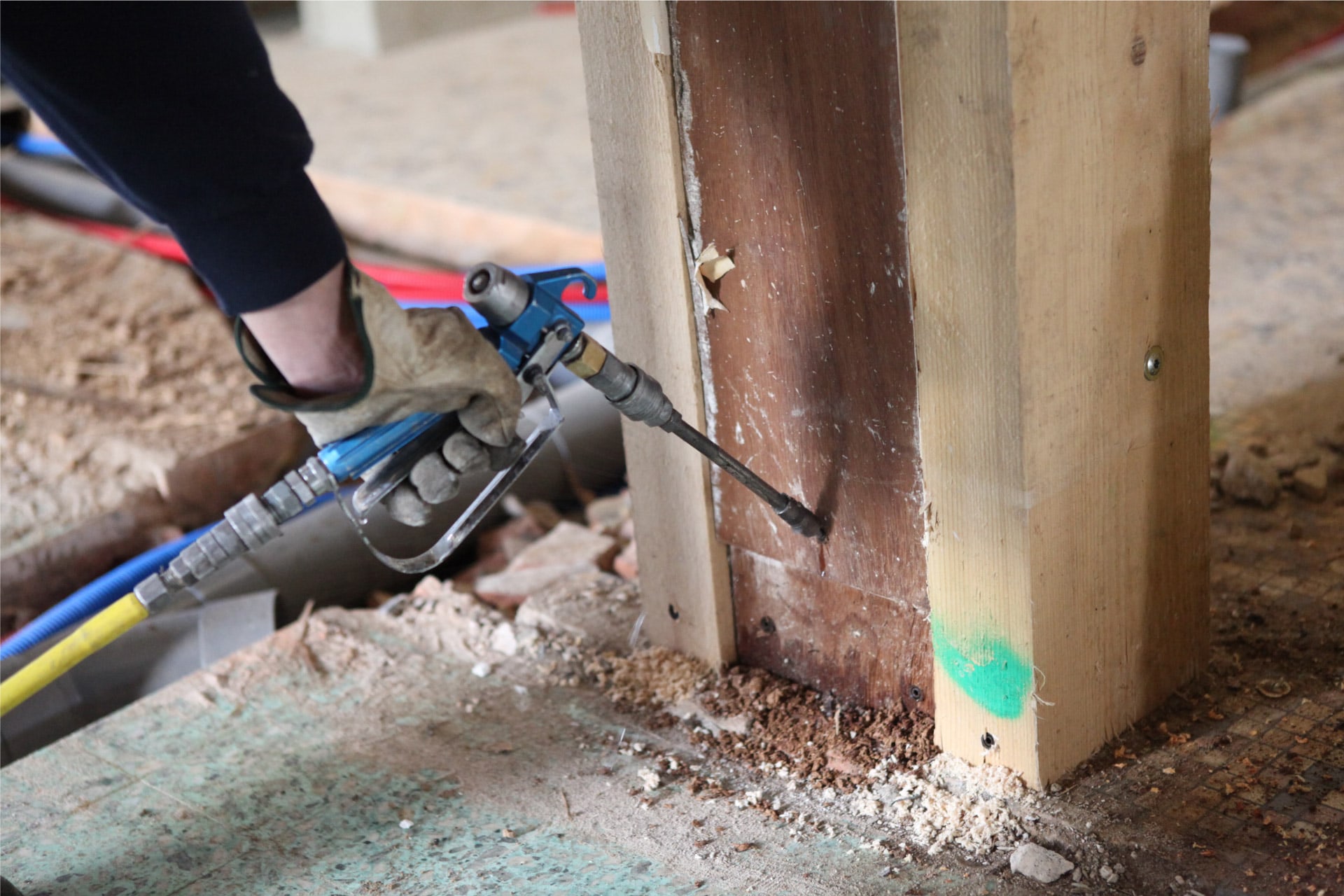 Termite control service